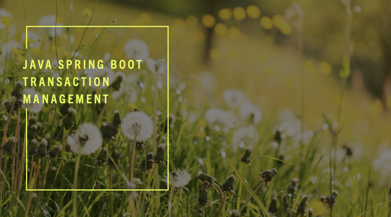 Java Spring Boot Transaction Management